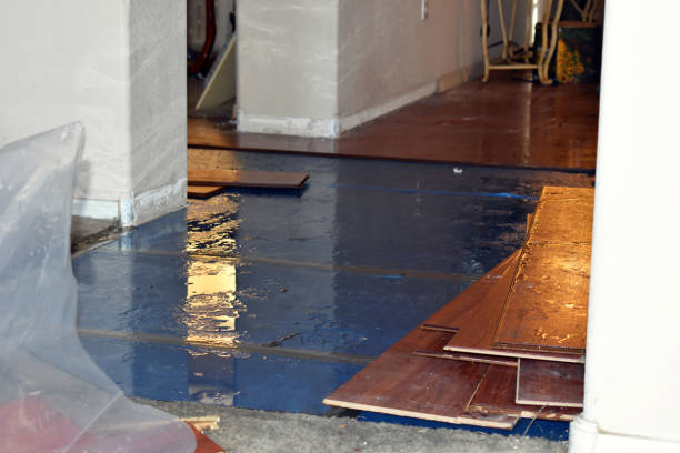 Professional Basement Flood Cleanup technician working in Winfield, AL